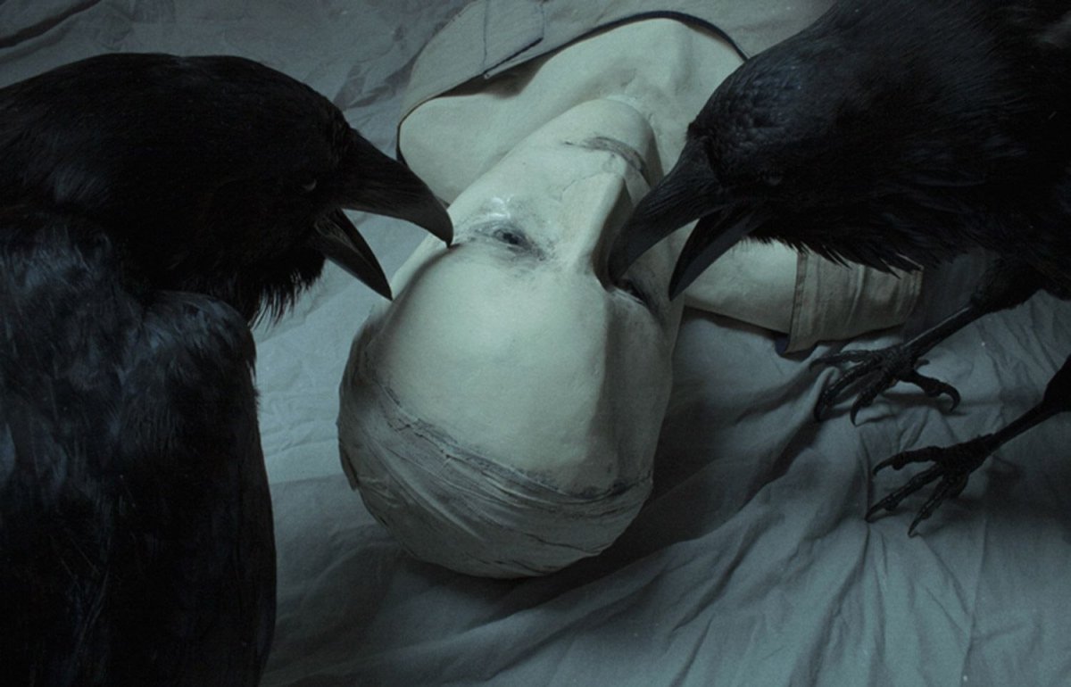 Laura Makabresku птицы