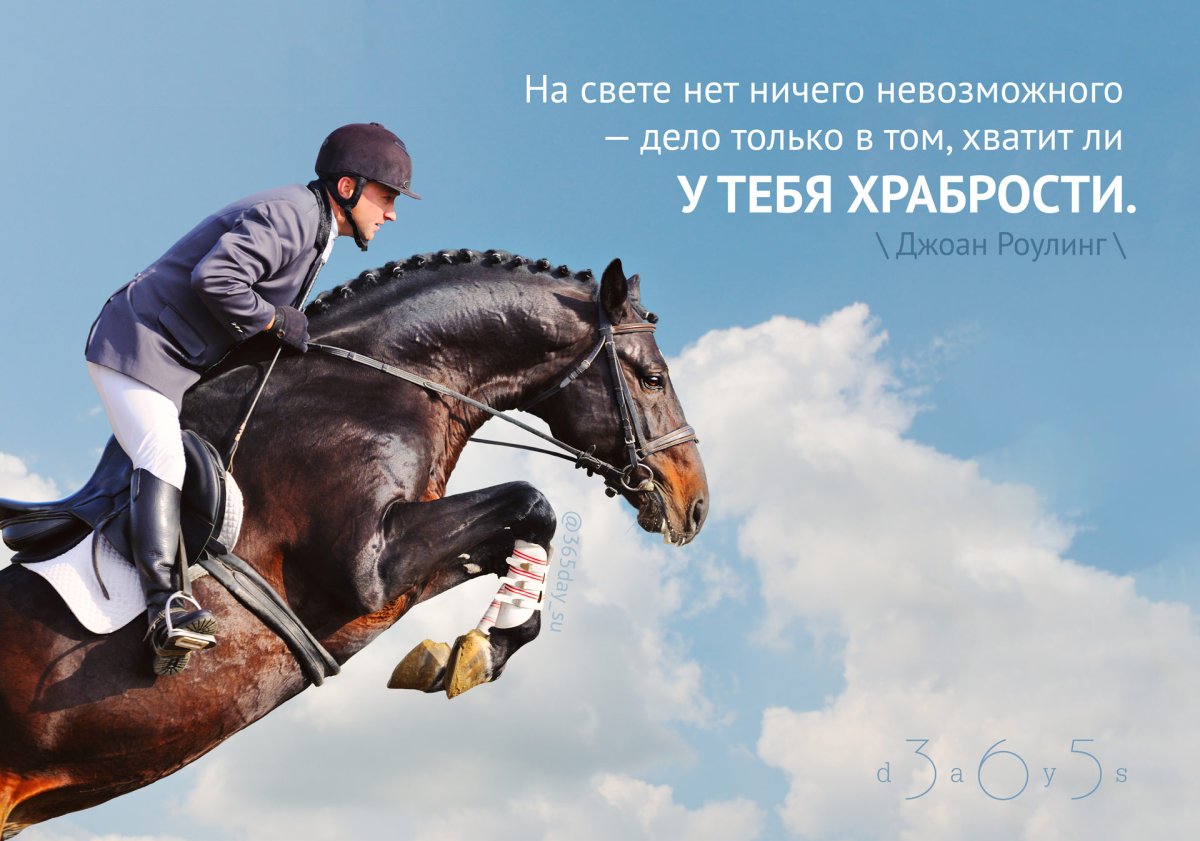 Человек на вершине мира