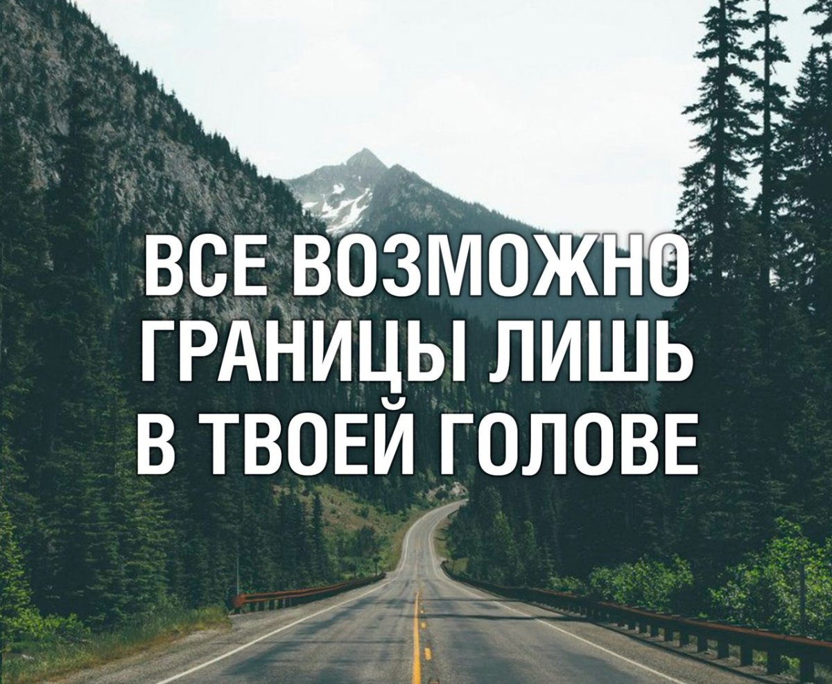 Не время для орехов мультфильм 2006