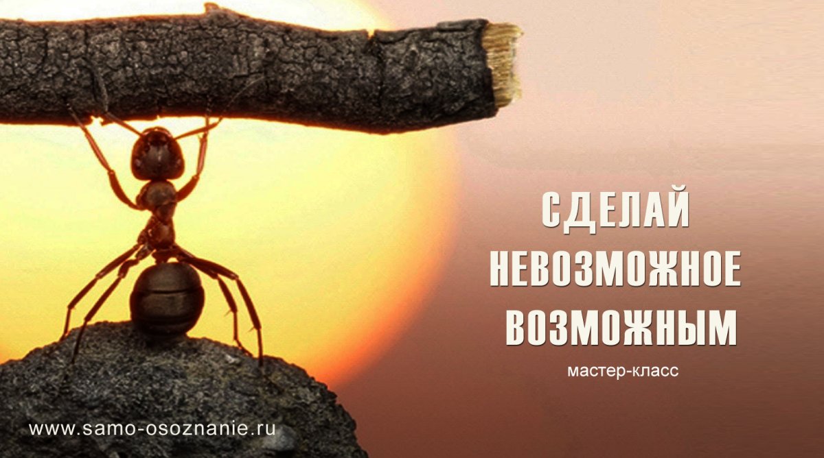 Мотиватор невозможное возможно