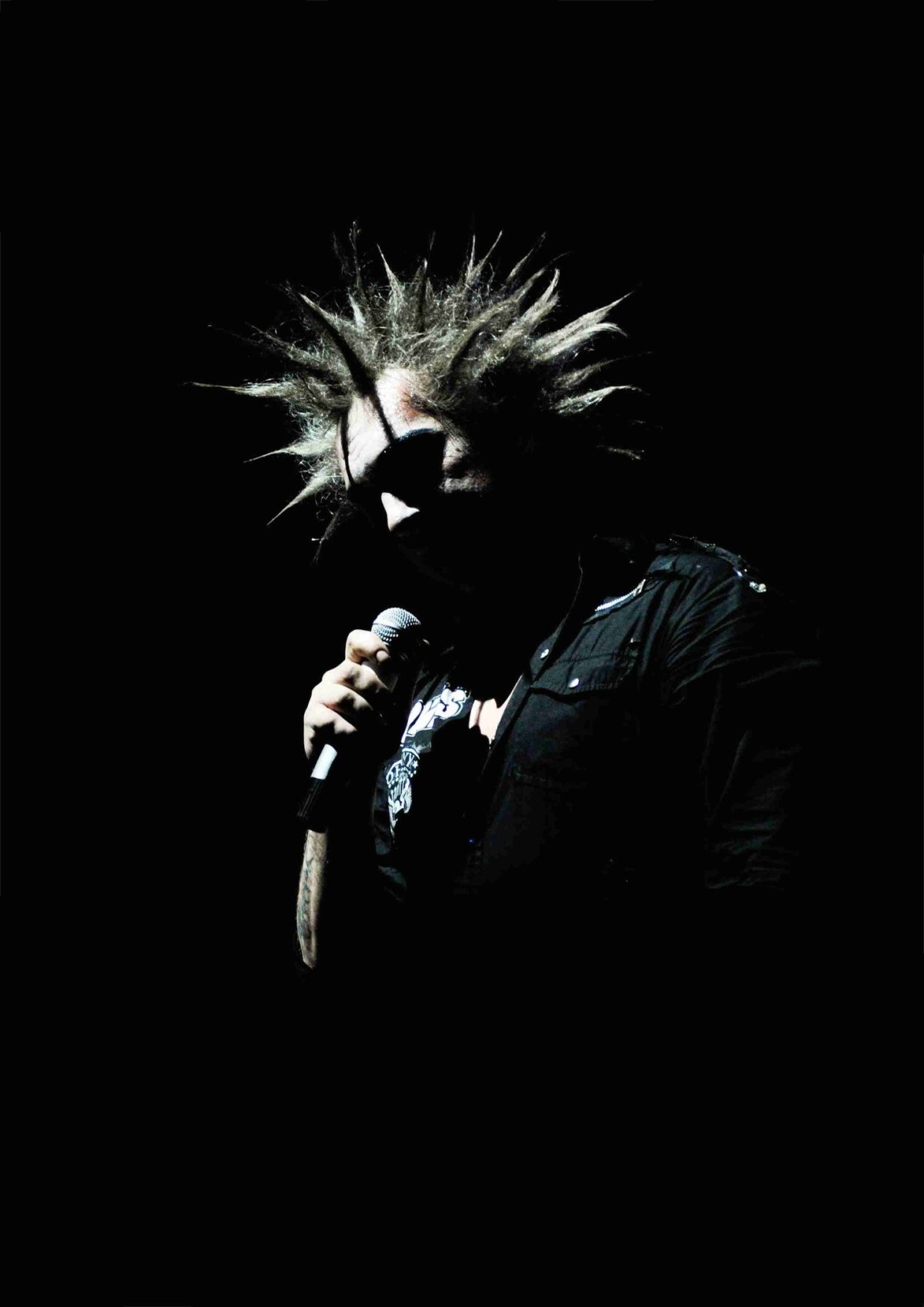 Михаил Горшенев панк