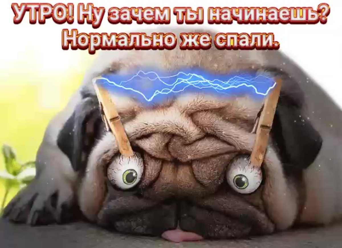 Открытка с понедельником смешная