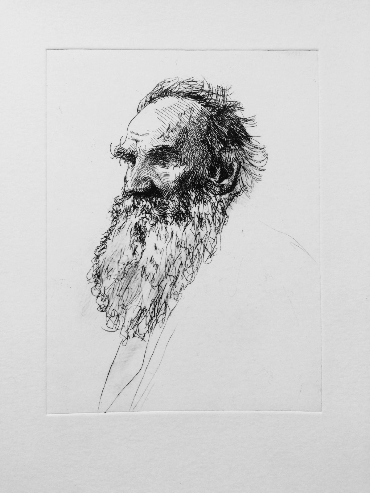 Лев Николаевич толстой скетч