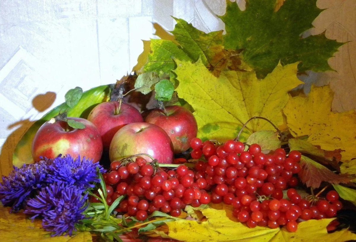 Октябрьский натюрморт