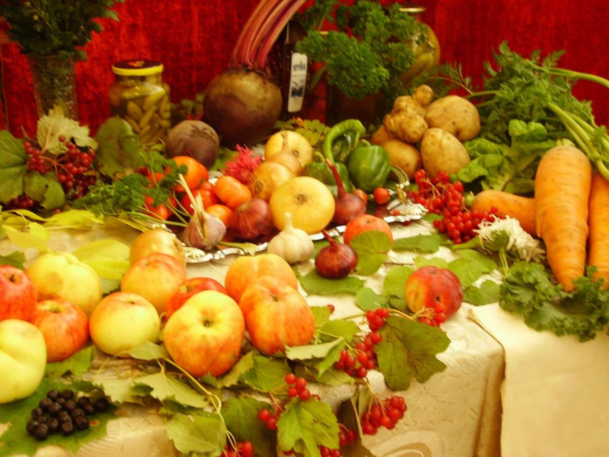 Дары осени на рабочий стол