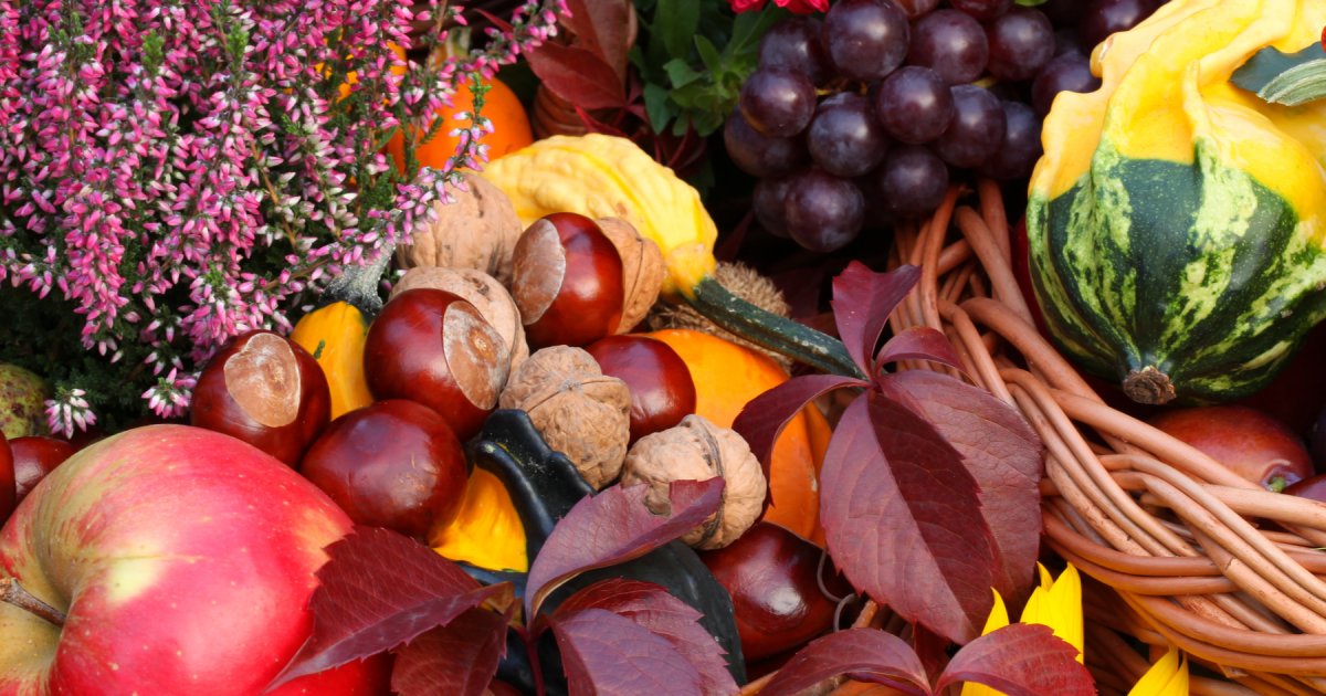 Осенние дары природы овощи фрукты цветы
