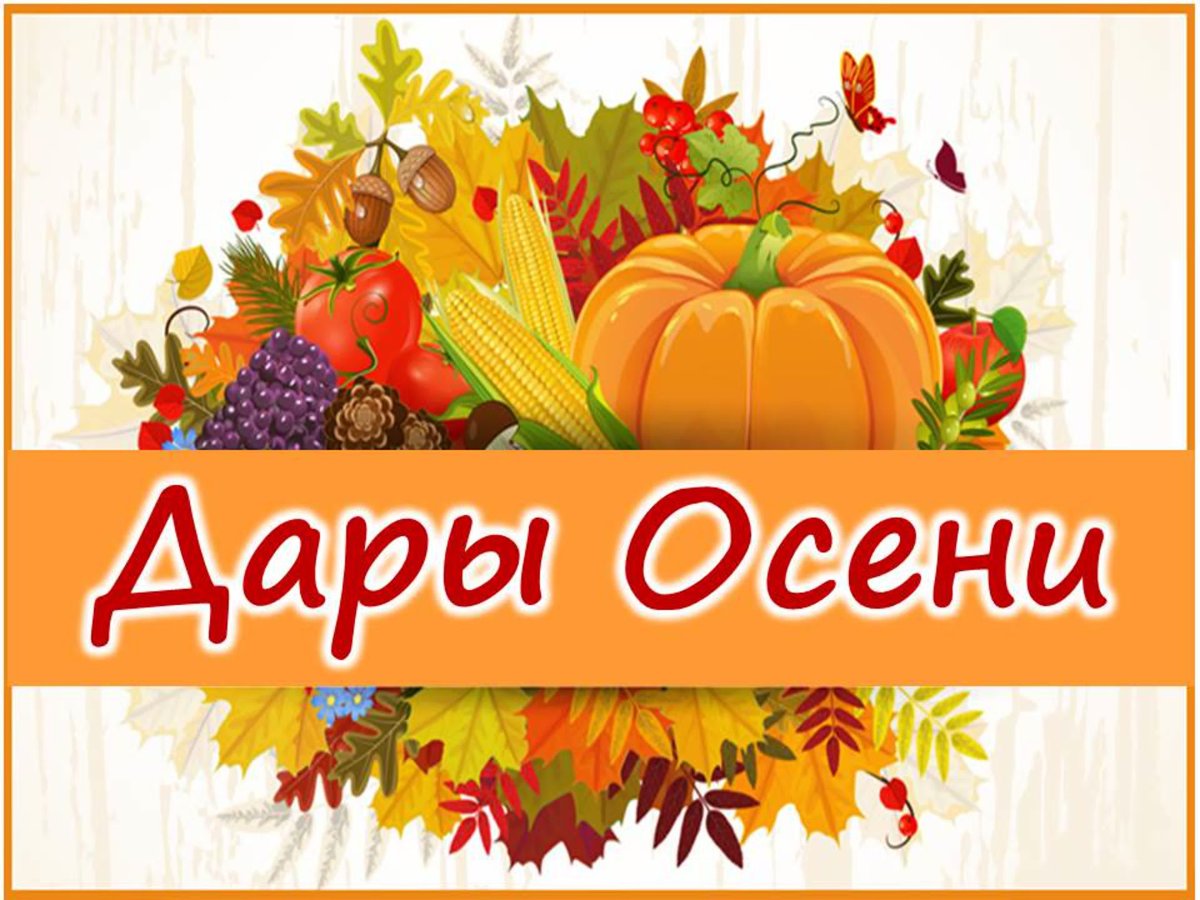 Дары осени картинки для детей