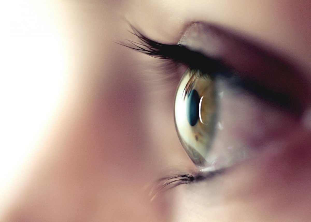 Глаз картинка для презентации