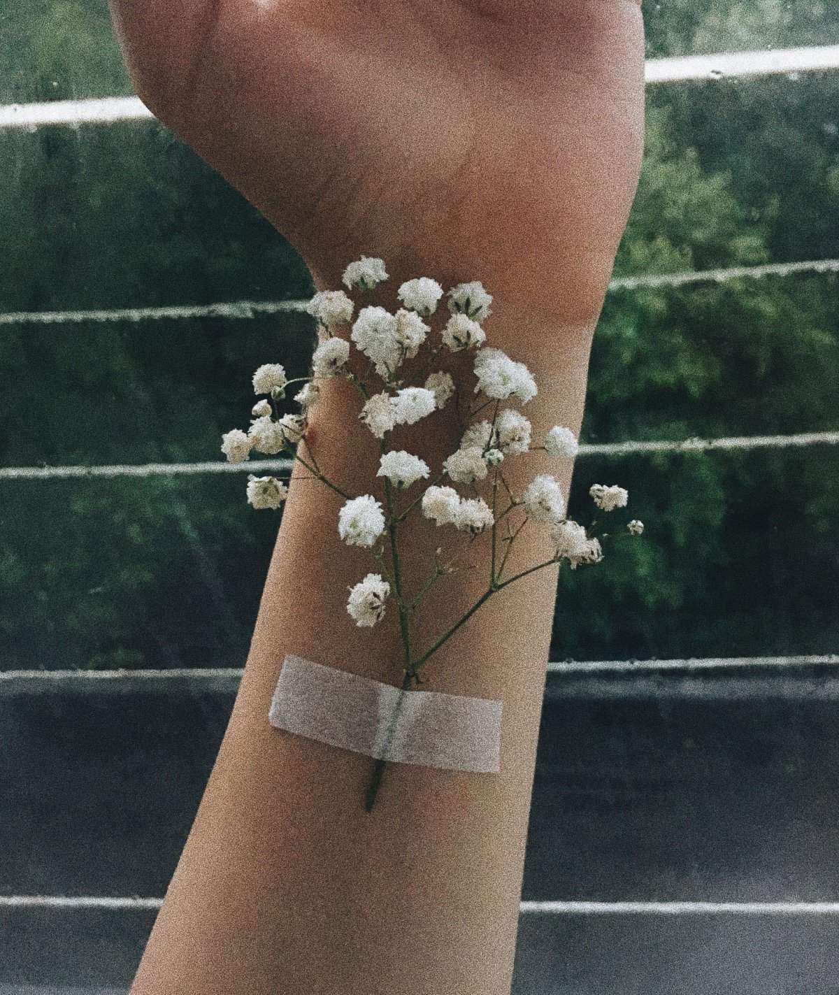 Эстетика с гипсофилами