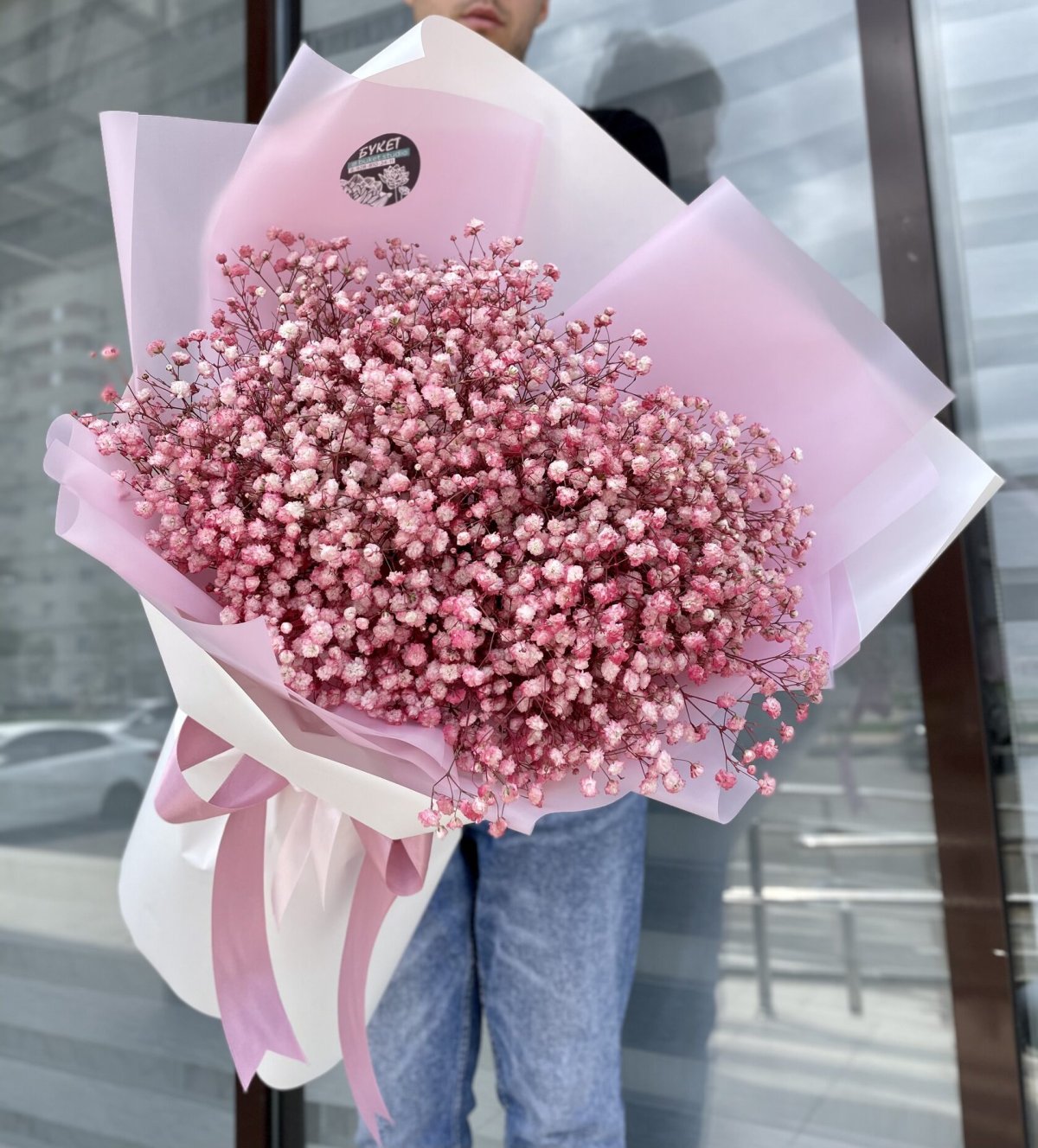 Гипсофилы фуксия