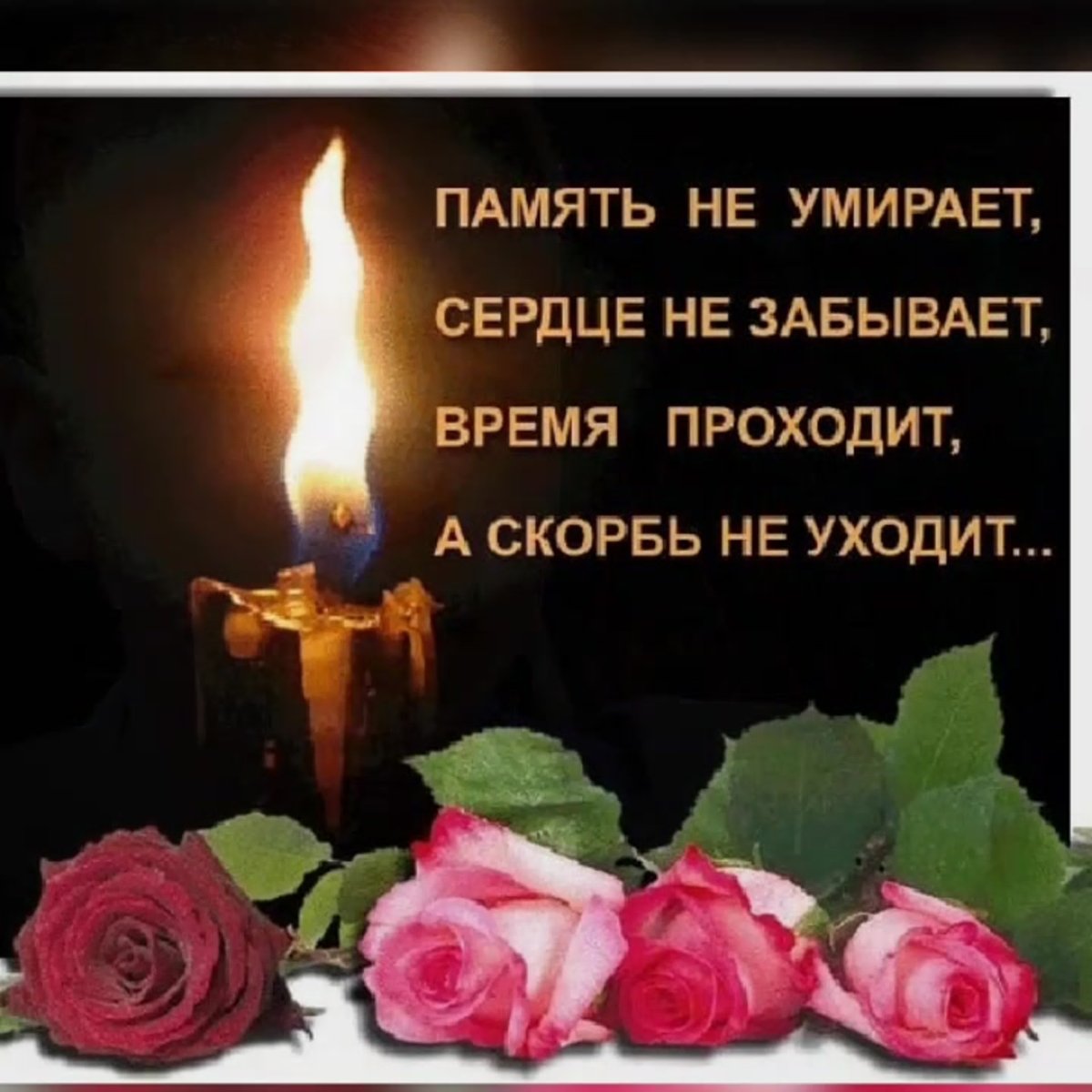 Помним любим скорбим