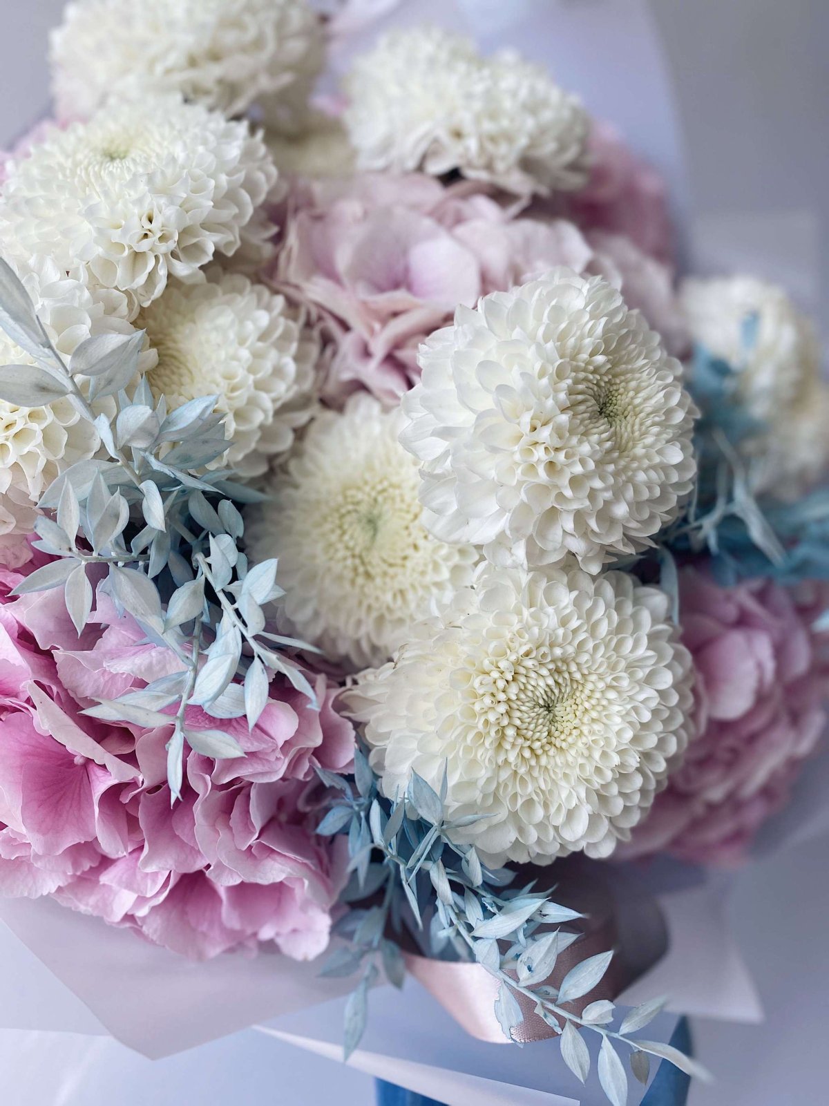 Хризантема Балтика Салмон