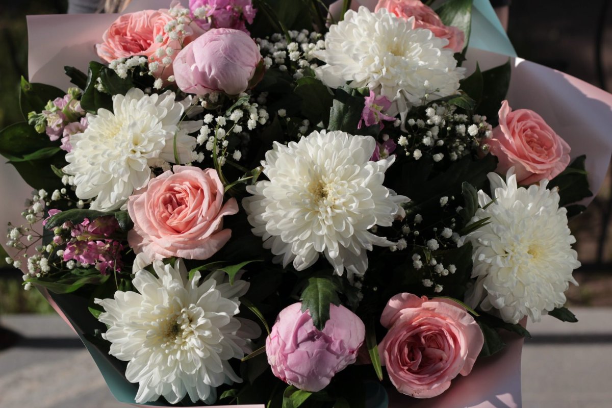 21 Хризантема кустовая