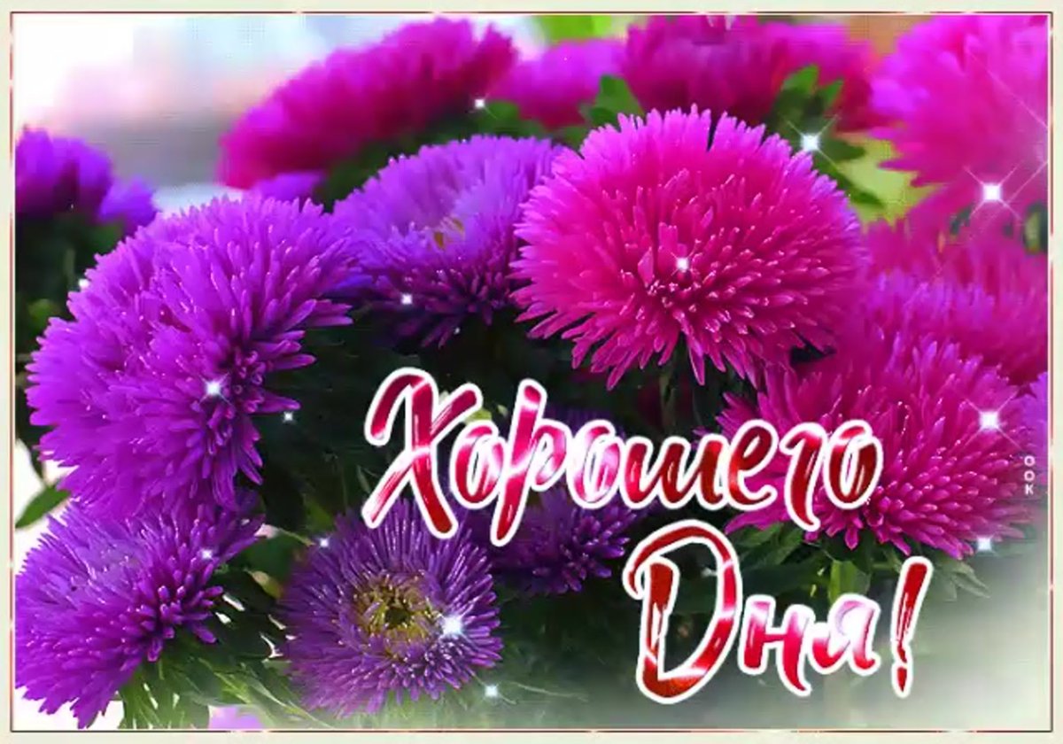 С днём рождения женщине красивые