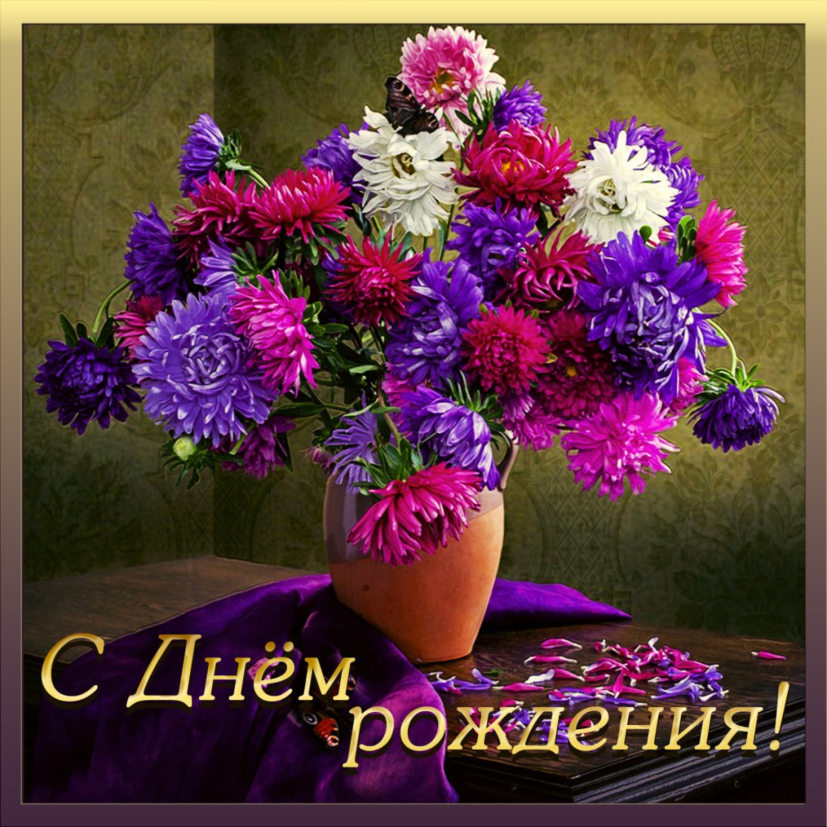 Хризантема одноголовая Ксения