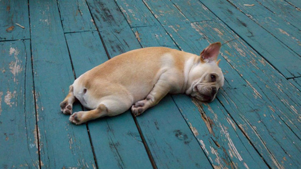 Устал в отпуске