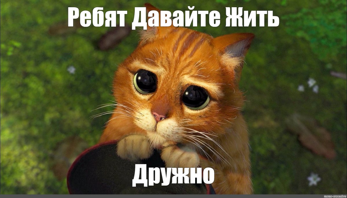 Жалобный котик