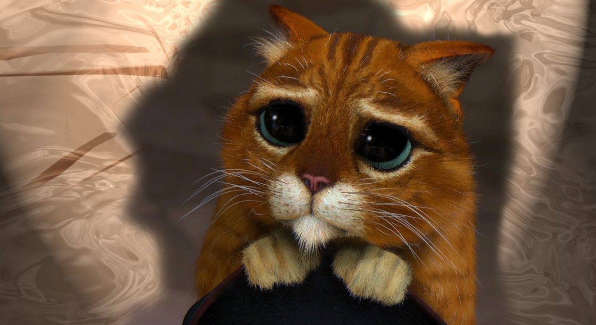 Жалостливые глаза кота из Шрека