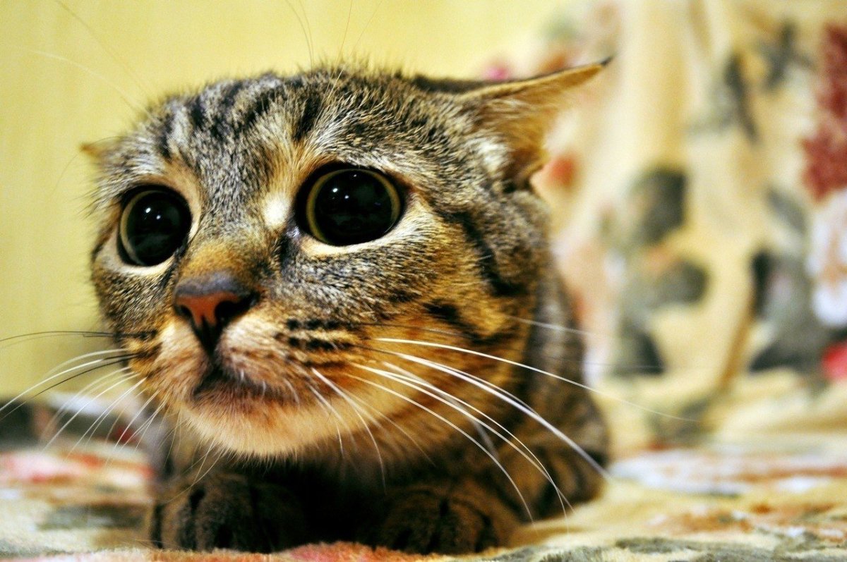 Не обижайся на меня