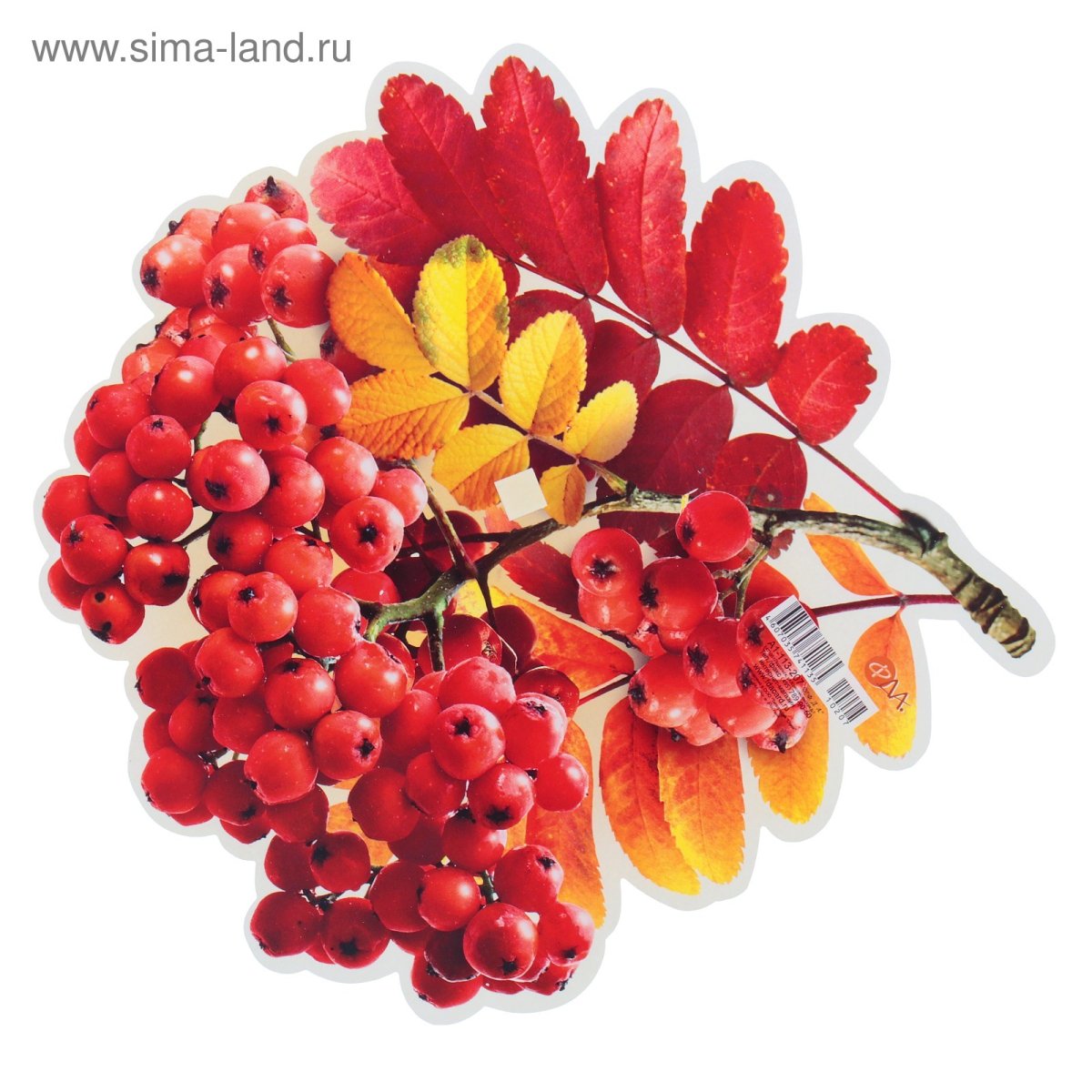 Эмблема группы Рябинка в детском саду