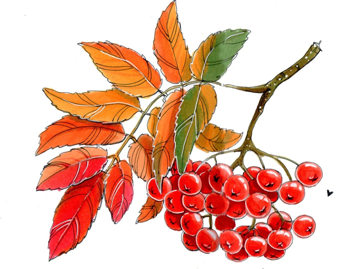 Эмблема группы Рябинка