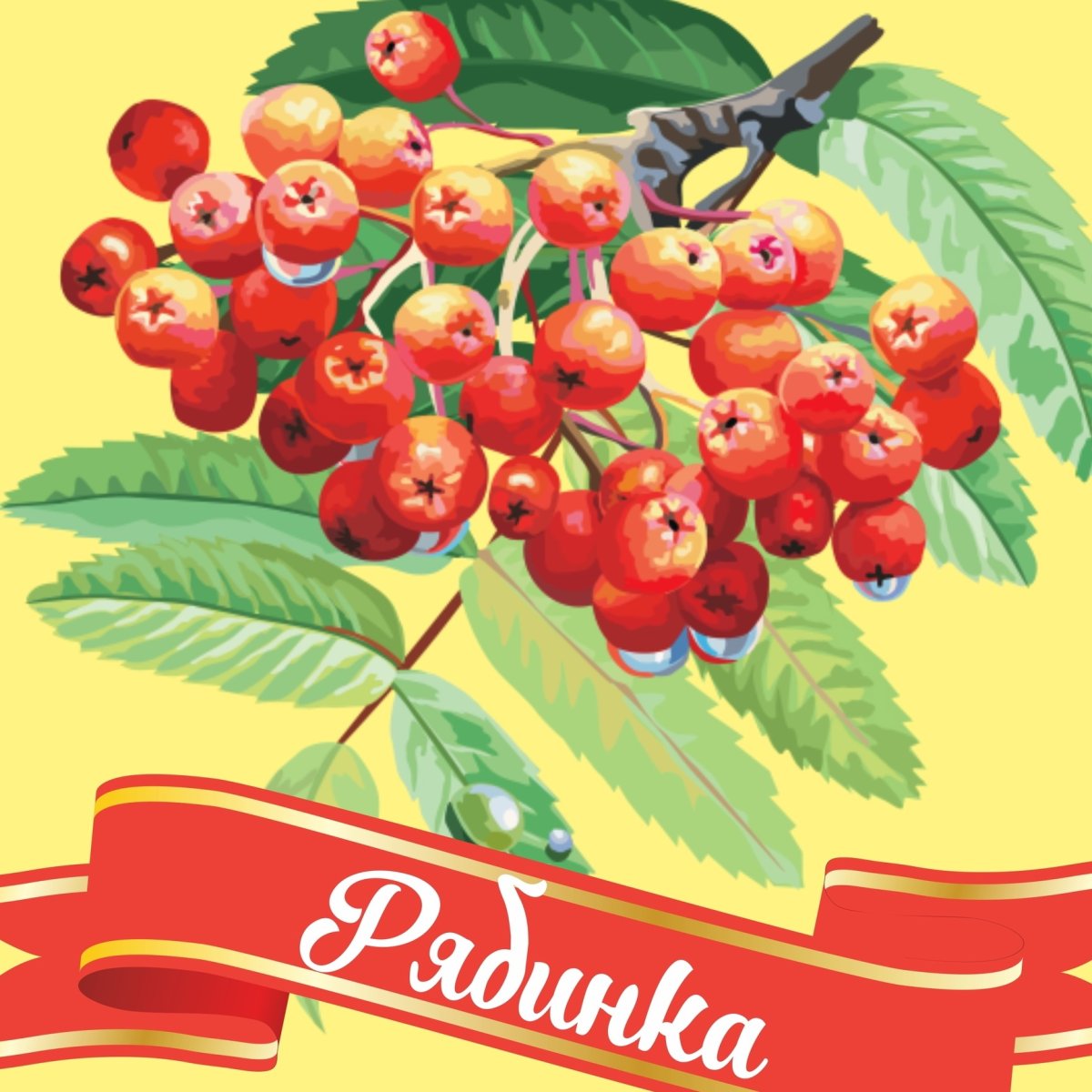 Осенние листья рябины