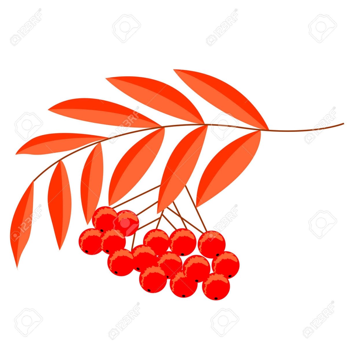 Анастасия Князева