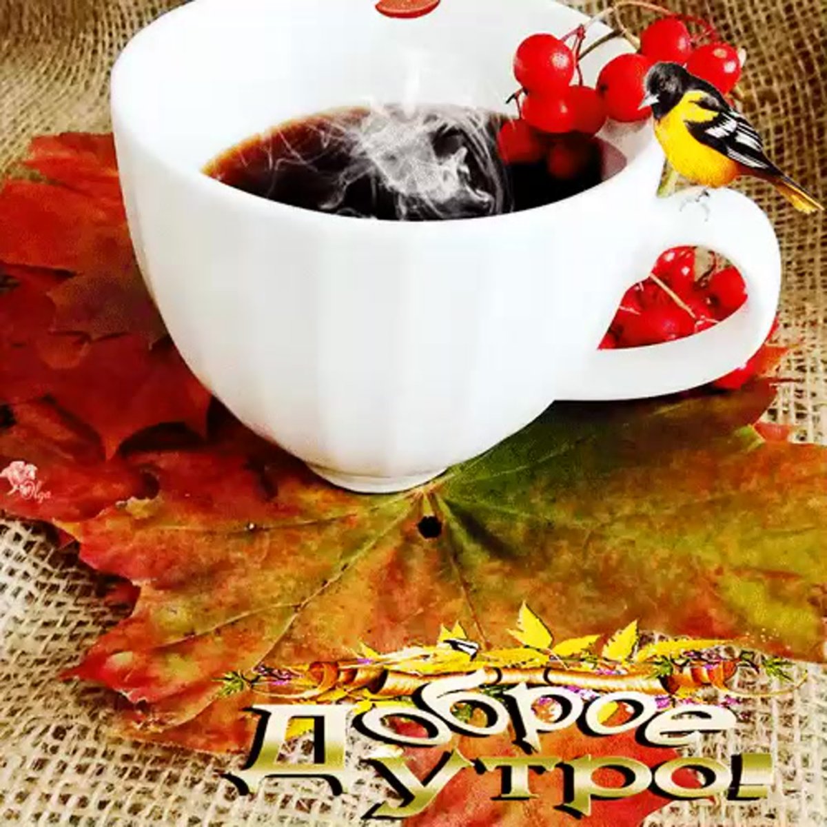 Открытки хороших выходных и отличного настроения