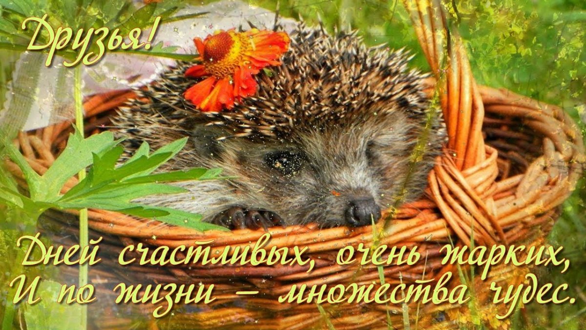 Доброго уютного осеннего утра пожелания