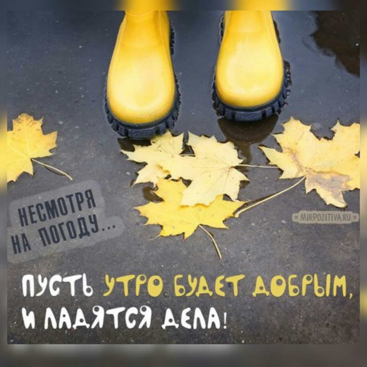 Пятница осень