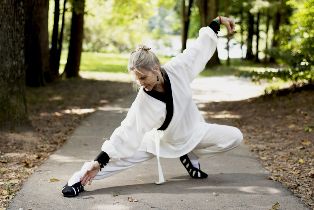 Тайцзицюань стиль Ян