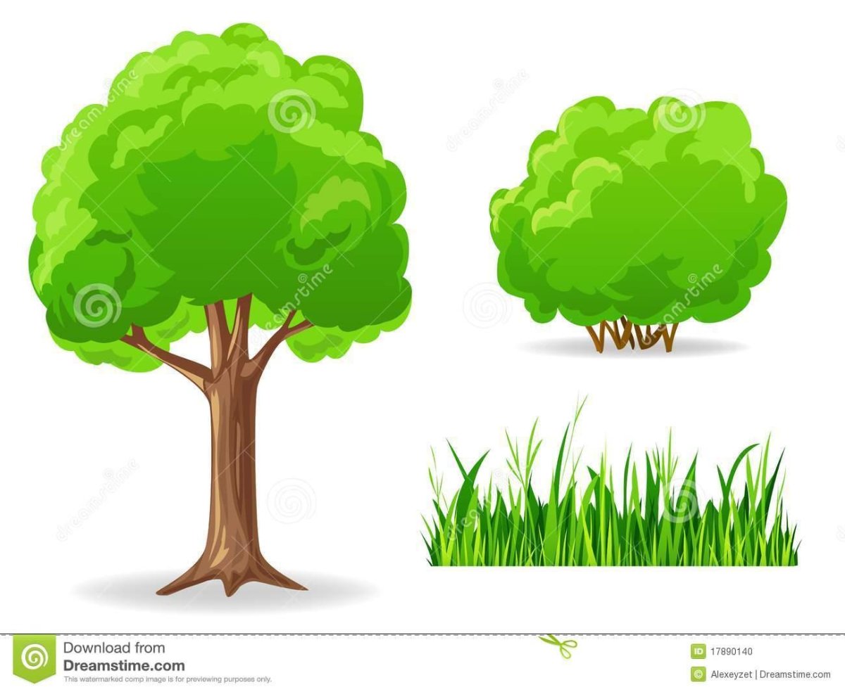 Деревья кустарники травы