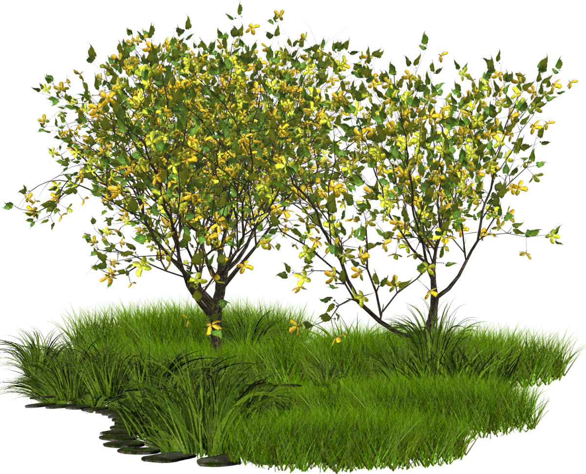 Кусты в ПГН