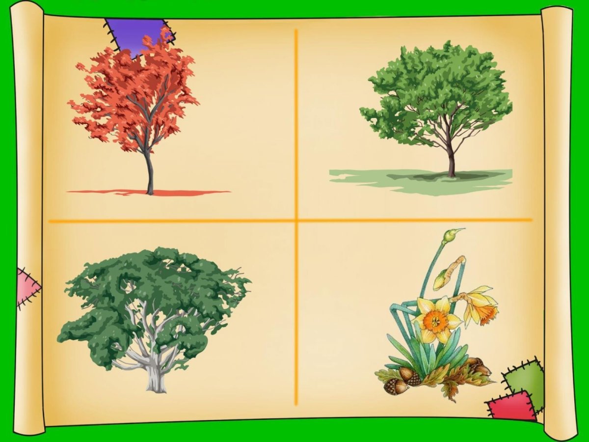 Дидактическая игра деревья и кустарники