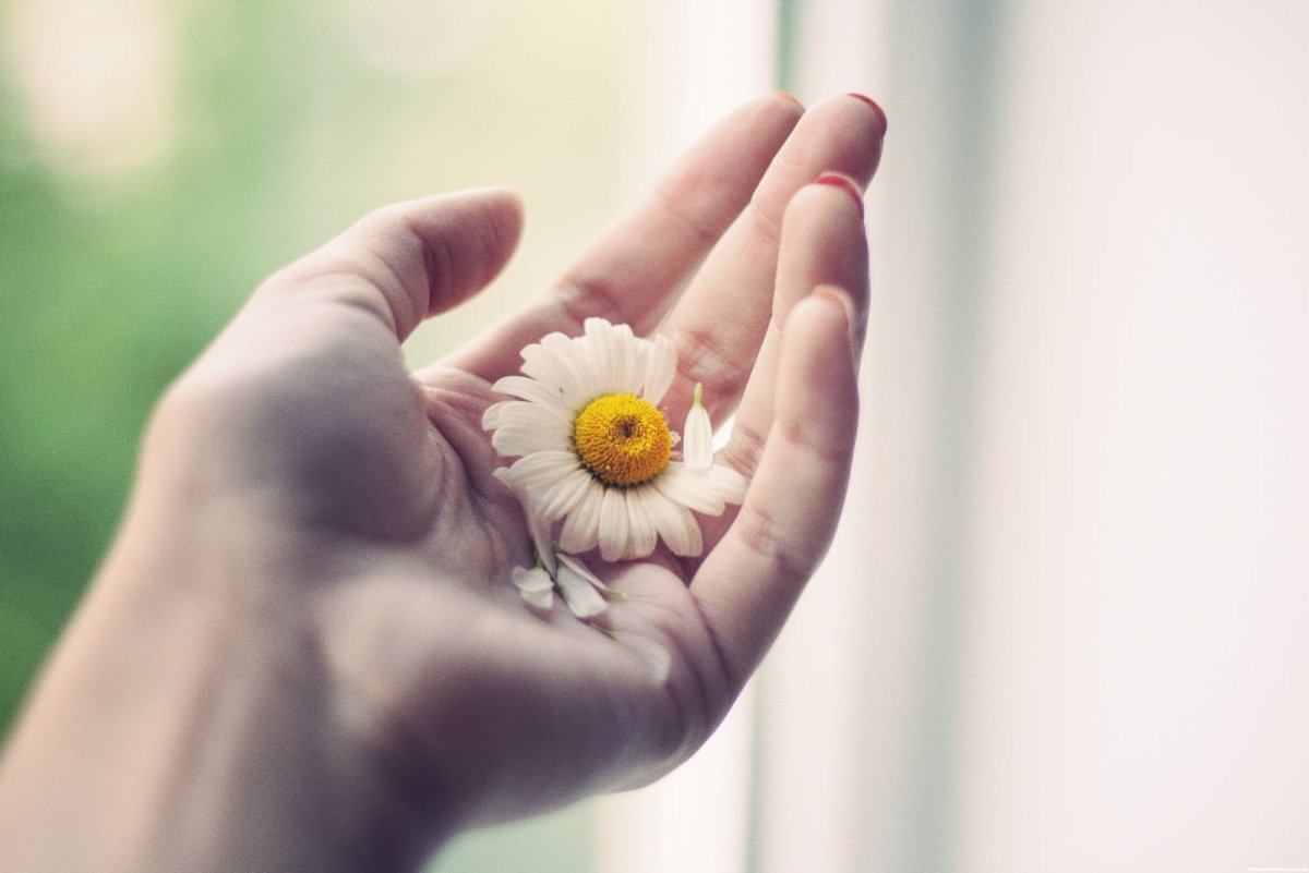 Женские руки с цветами