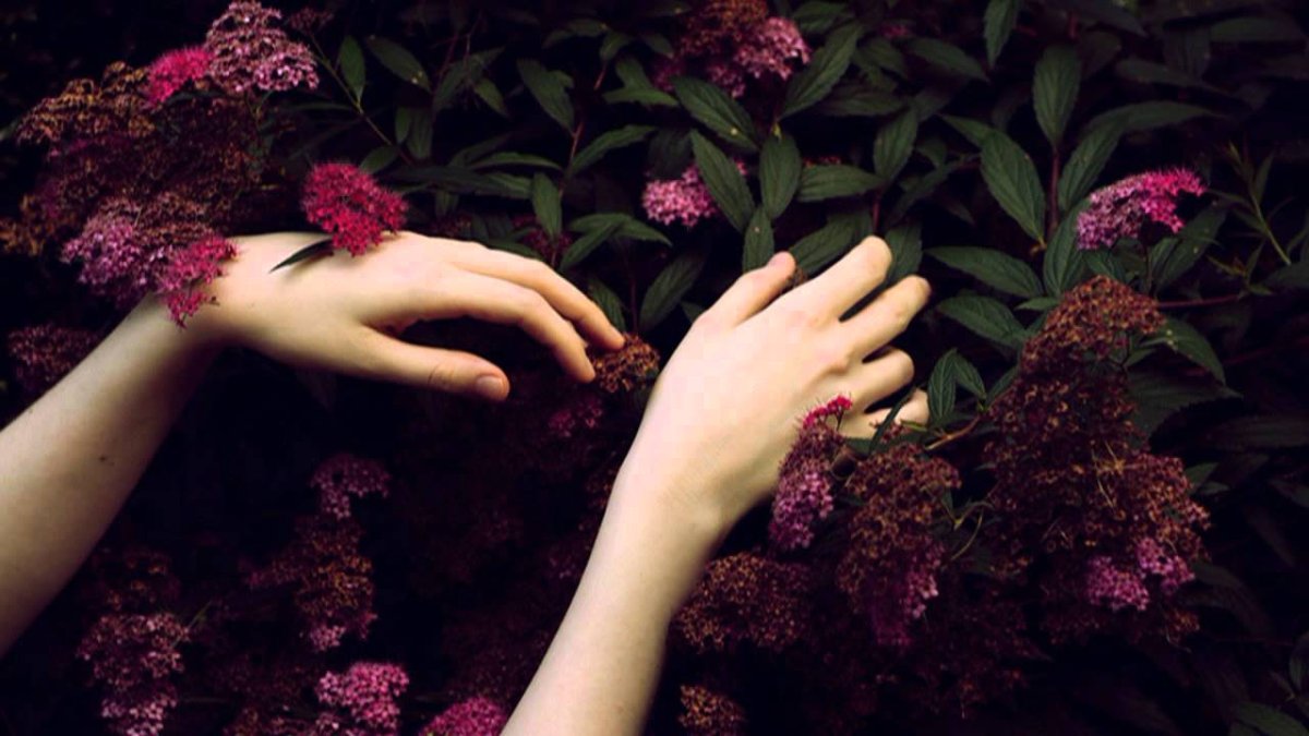 Цветы в руках у девушки