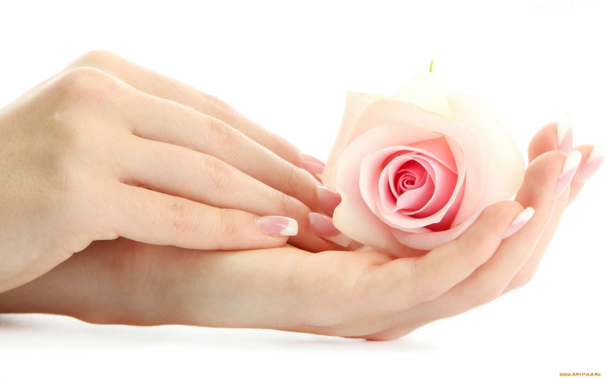 Оранжевый цветок в руках