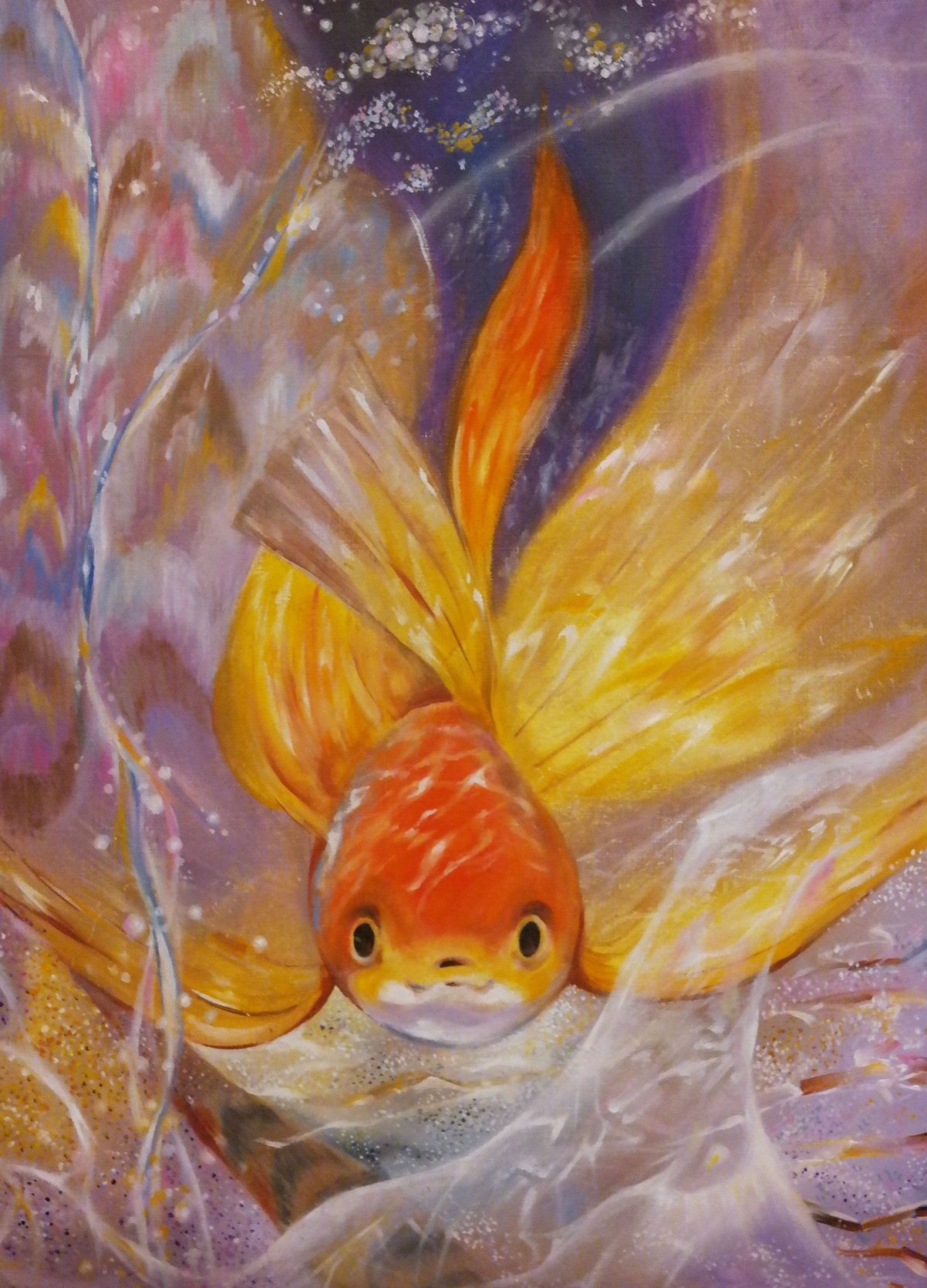 Золотая рыбка волехвостка