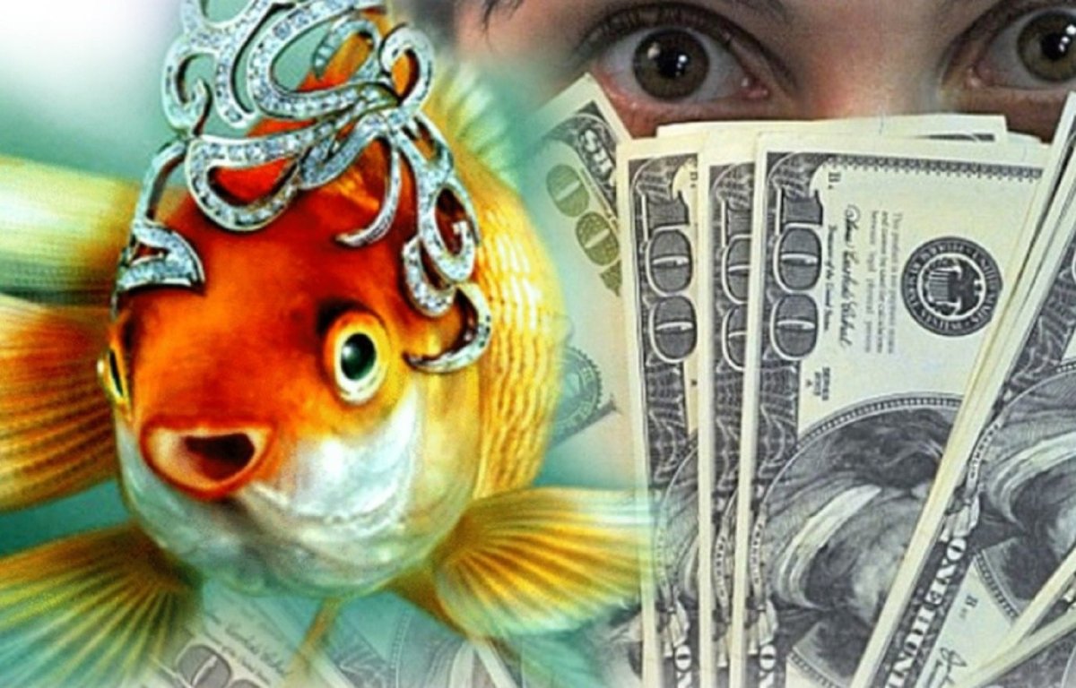 Золотая рыбка