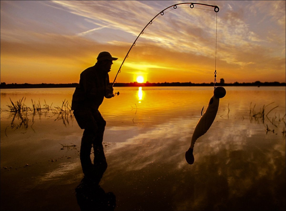 Рыболов Спиннингист