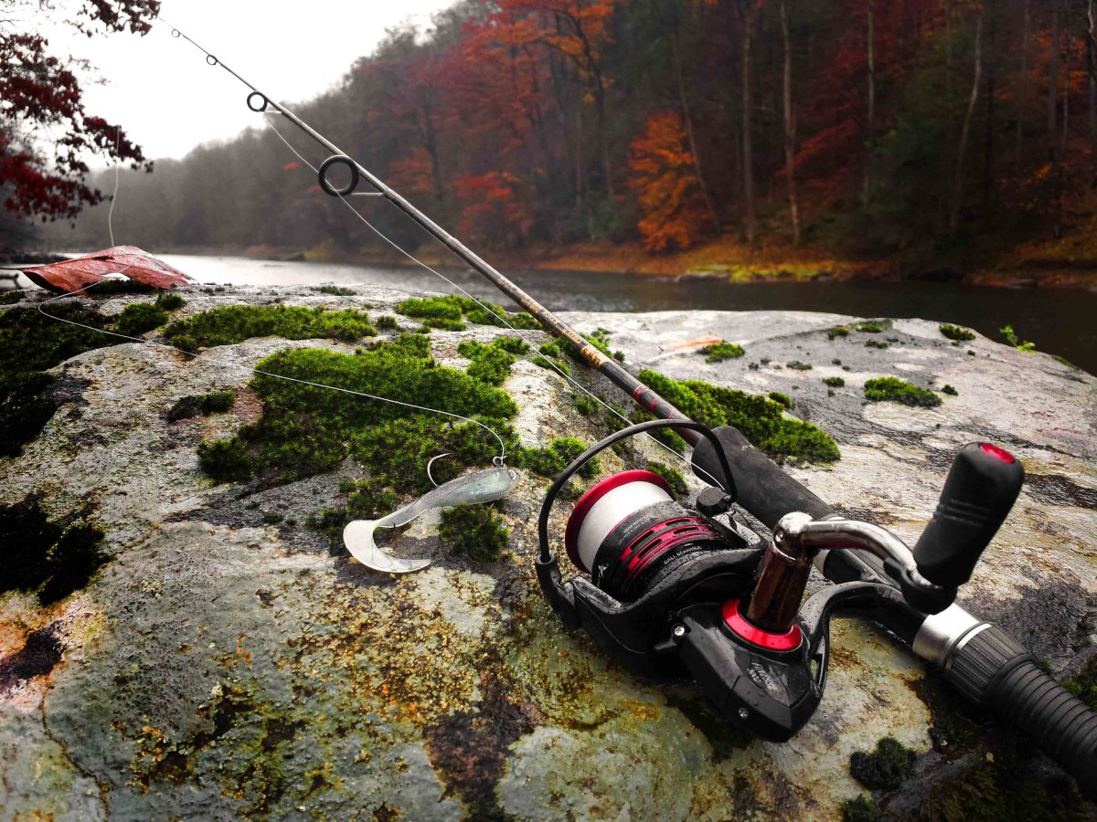 Рыбалка на спиннинг