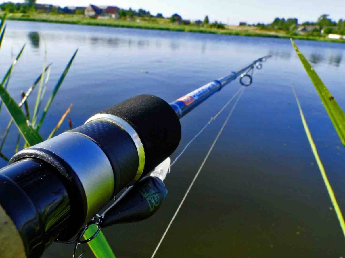 Рыболовные удилища