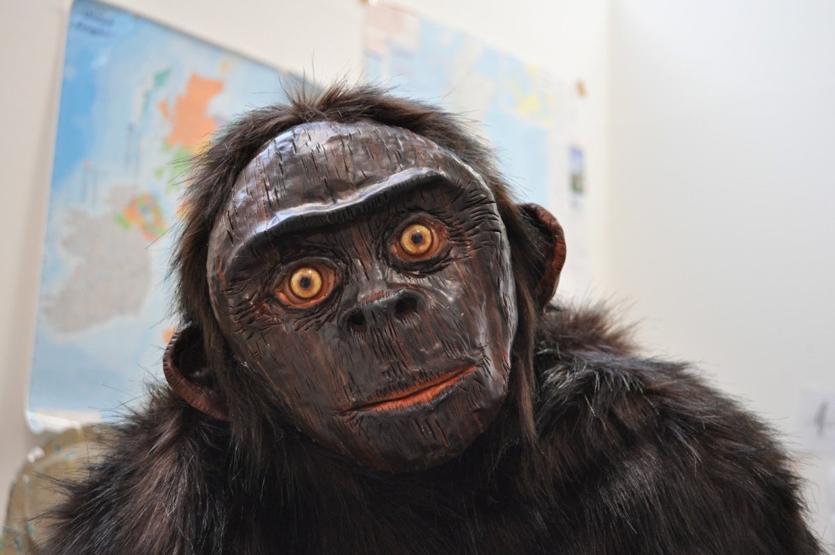 Некрасивая обезьяна