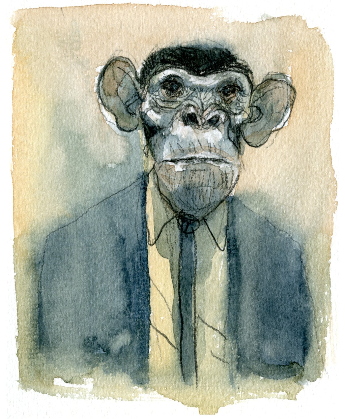 Шимпанзе в платье