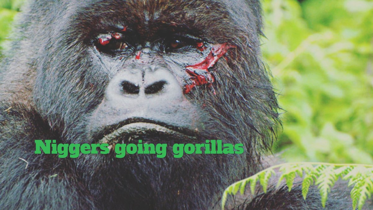 Художник Chimpanzee