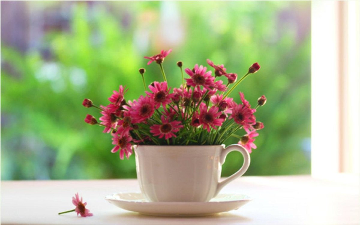 Красивые высказывания о добром утре