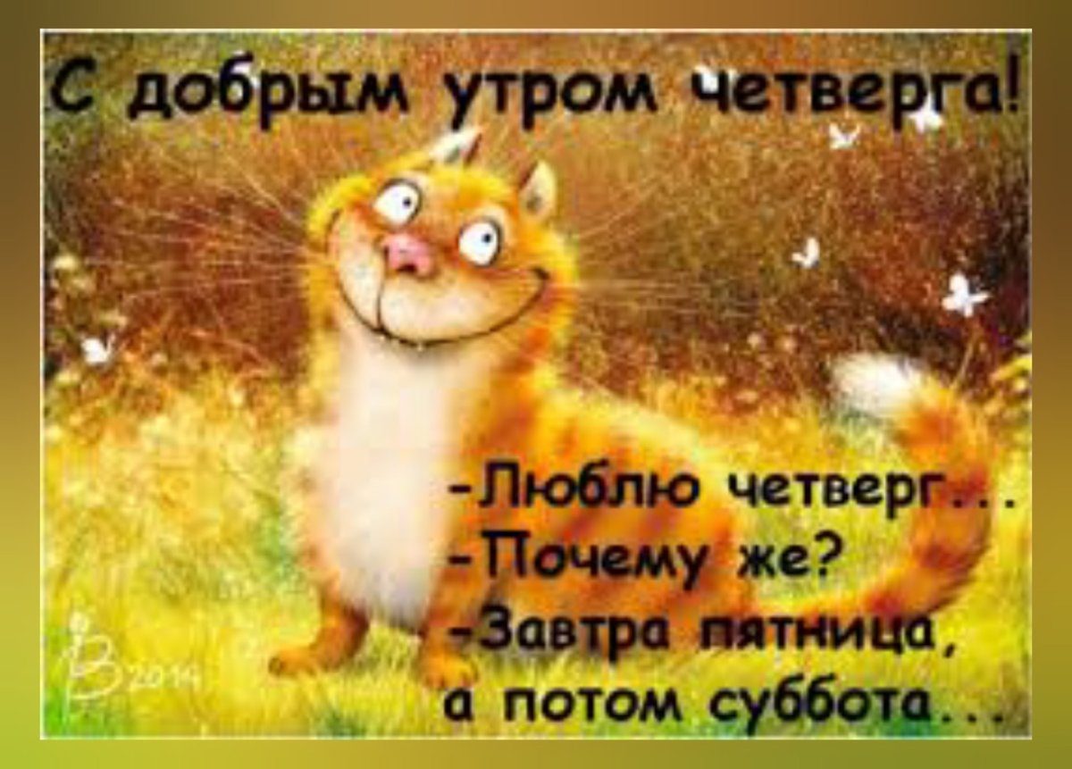 Смешная открытка с добрым утром женщине