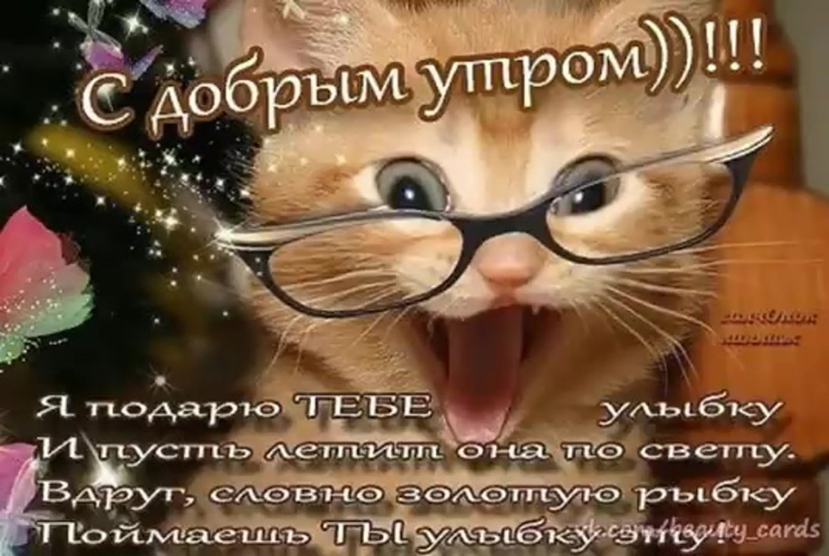 Доброе утро картинки прикольные
