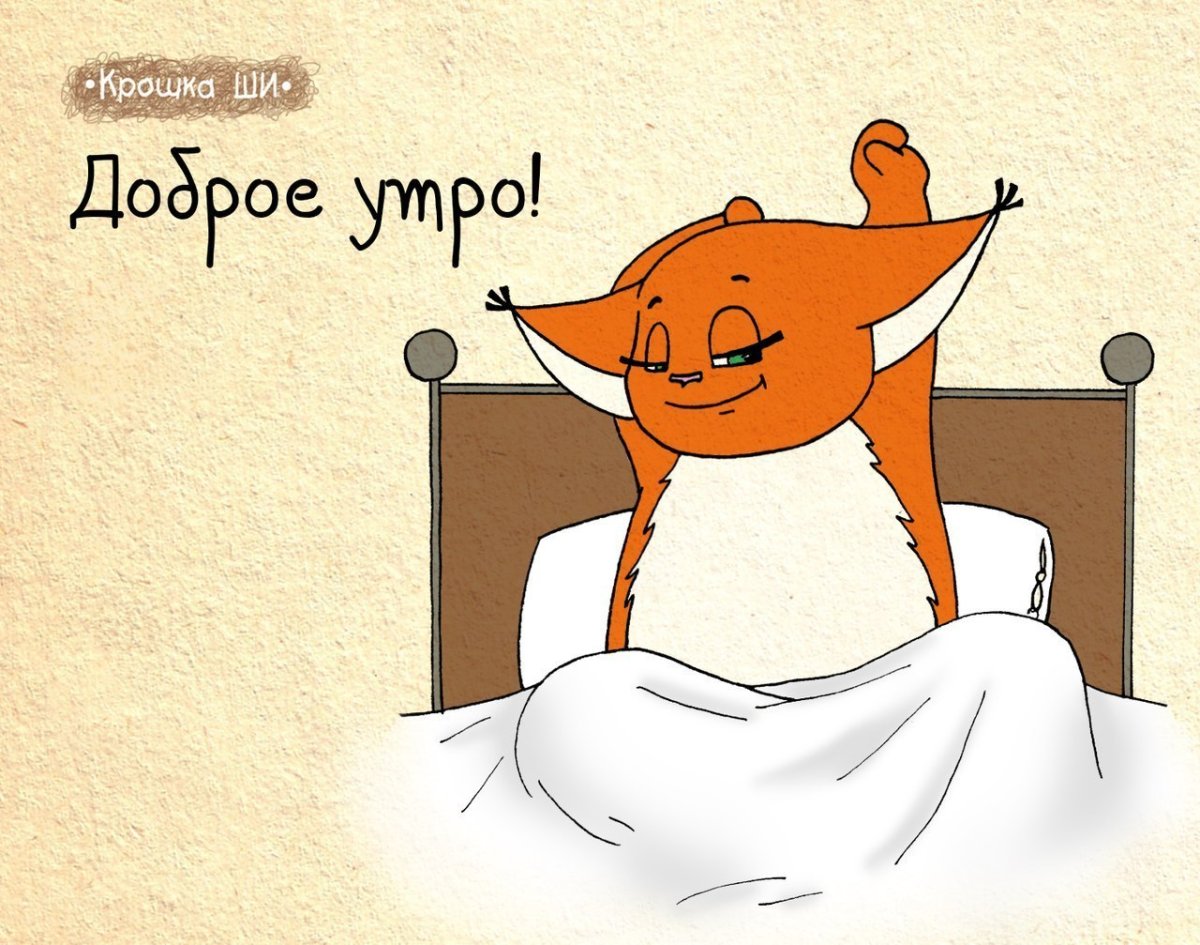 С добрым утром прикол