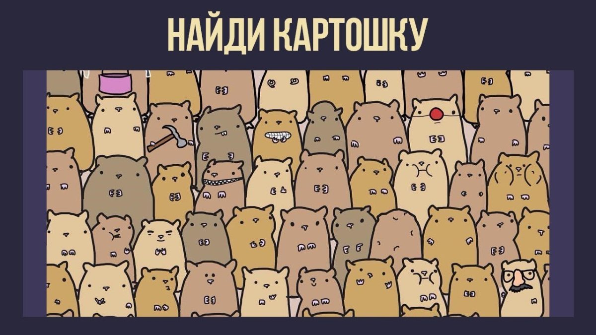 Найди кота среди сов